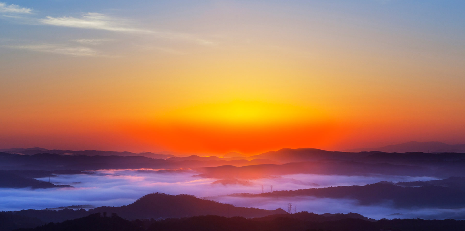 東辰集團 生機無限
